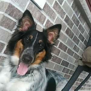 Meet your Posher, Alycia